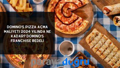 Domino’s Pizza Açma Maliyeti 2024 Yılında Ne Kadar? Domino’s Franchise Bedeli