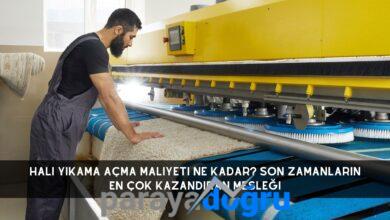 Halı Yıkama Açma Maliyeti Ne Kadar? Son Zamanların En Çok Kazandıran Mesleği