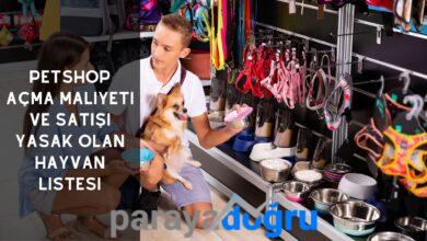 Petshop Açma Maliyeti ve Satışı Yasak Olan Hayvan Listesi