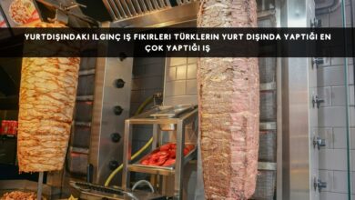 Yurtdışındaki İlginç İş Fikirleri Türklerin Yurt Dışında Yaptığı En Çok Yaptığı İş