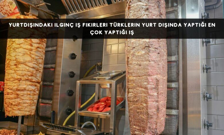 Yurtdışındaki İlginç İş Fikirleri Türklerin Yurt Dışında Yaptığı En Çok Yaptığı İş