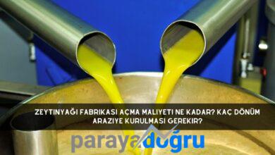 Zeytinyağı Fabrikası Açma Maliyeti Ne Kadar? Kaç Dönüm Araziye Kurulması Gerekir?