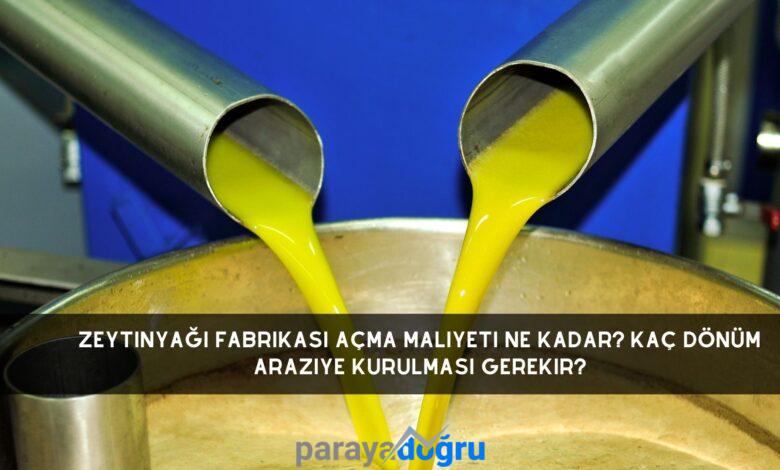 Zeytinyağı Fabrikası Açma Maliyeti Ne Kadar? Kaç Dönüm Araziye Kurulması Gerekir?